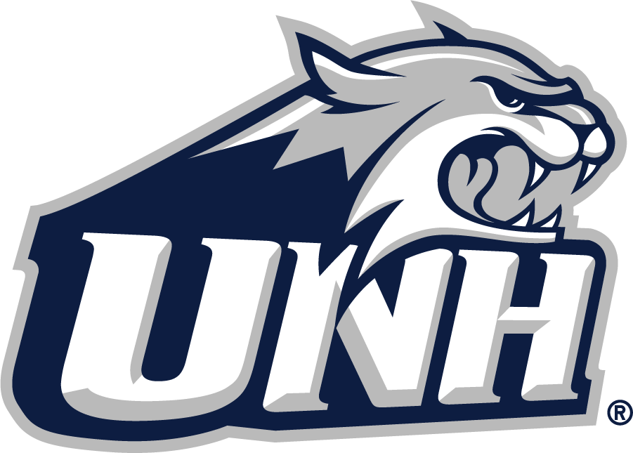 New Hampshire Wildcats 2000-Pres Secondary Logo diy iron on heat transfer